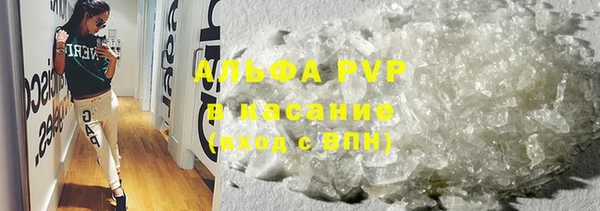 спиды Абаза