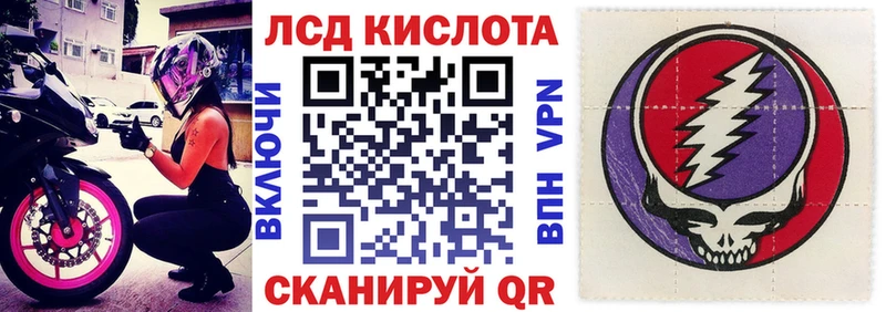 как найти закладки  Каргополь  Марки NBOMe 1,8мг 