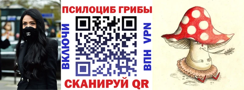 магазин продажи   Каргополь  Псилоцибиновые грибы Magic Shrooms 